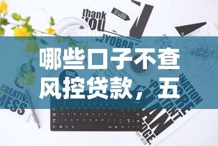 哪些口子不查风控贷款，五大2025最新购物贷款平台