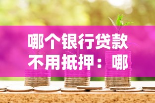 哪个银行贷款不用抵押：哪些银行提供无抵押贷款