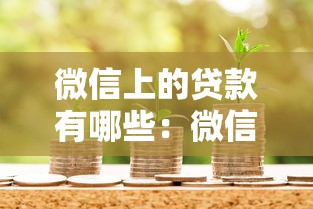 微信上的贷款有哪些：微信有哪些正规借款渠道