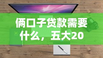 俩口子贷款需要什么，五大2025最新靠谱的贷款平台