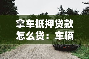 拿车抵押贷款怎么贷：车辆抵押贷款办理流程有哪些
