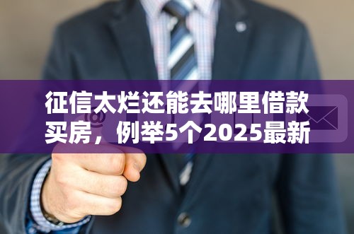 征信太烂还能去哪里借款买房，例举5个2025最新公司贷款平台