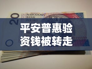 平安普惠验资钱被转走了，汇总五个2025最新学生贷款平台