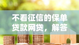 不看征信的保单贷款网贷，解答五家2025最新网上贷款平台好