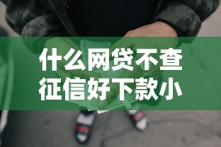 什么网贷不查征信好下款小额，梳理5个2025最新执行人贷款稳下的口子