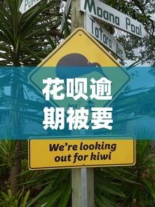 花呗逾期被要求还全款还不上怎么办，省内五个2025最新能贷500到1000的贷款软件