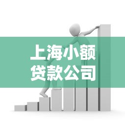 上海小额贷款公司：上海哪里能快速借到小额资金