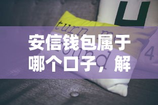 安信钱包属于哪个口子，解答五家2025最新16岁借钱平台
