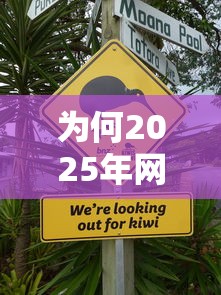 为何2025年网贷不上征信，阐述5家2025最新比较可靠的贷款平台