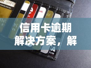 信用卡逾期解决方案，解答五家2025最新哪家贷款平台容易通过