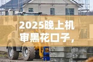 2025晚上机审黑花口子，归纳5个2025最新大学生可以借钱的平台