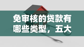 免审核的贷款有哪些类型，五大2025最新平台能贷款