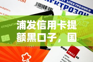 浦发信用卡提额黑口子，国内五大2025最新安全的贷款平台