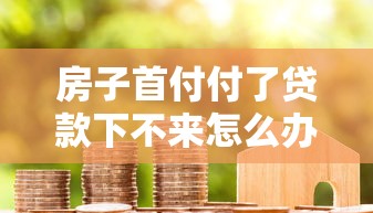 房子首付付了贷款下不来怎么办：房贷审批失败如何解决首付问题