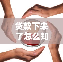 贷款下来了怎么知道要还多少，推荐五个2025最新一站式贷款服务平台