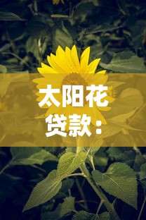 太阳花贷款：阳光信贷产品有哪些优缺点