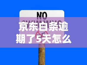京东白条逾期了5天怎么办，归纳5个2025最新2025新口子不用审核的方法