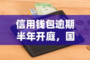 信用钱包逾期半年开庭，国内五大2025最新最快的借钱平台是什么