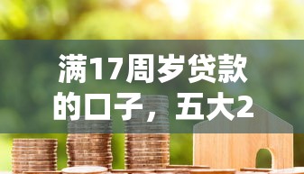 满17周岁贷款的口子，五大2025最新2025黑花户借款平台