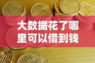 大数据花了哪里可以借到钱，例举5个2025最新网贷平台比较容易通过的