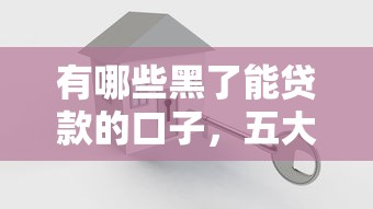 有哪些黑了能贷款的口子，五大2025最新网贷平台有多少家