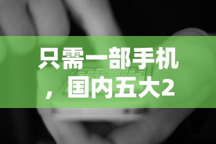 只需一部手机，国内五大2025最新黑户可以在平台上借到钱