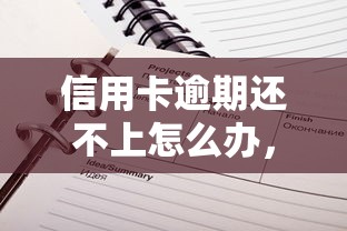 信用卡逾期还不上怎么办，分析五个2025最新夜间能秒下款的高炮口子