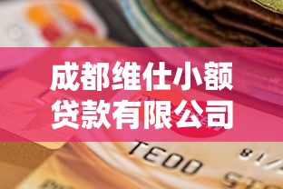 成都维仕小额贷款有限公司：维仕小贷在成都的业务范围有哪些
