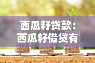 西瓜籽贷款：西瓜籽借贷有哪些隐藏风险