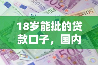 18岁能批的贷款口子，国内五大2025最新有借款平台黑户也能借