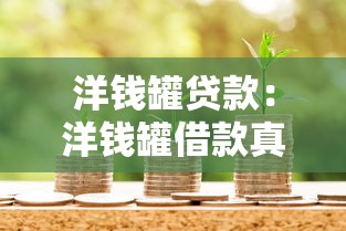洋钱罐贷款：洋钱罐借款真实利率是多少