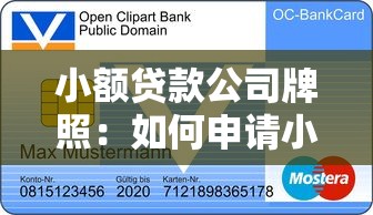 小额贷款公司牌照：如何申请小额信贷机构许可