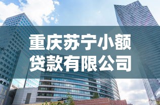 重庆苏宁小额贷款有限公司：重庆苏宁小贷公司贷款条件是什么