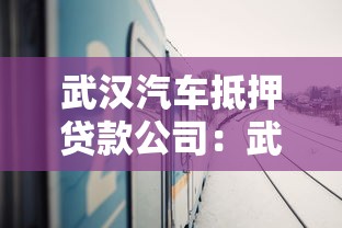 武汉汽车抵押贷款公司：武汉哪里可以办理车辆抵押贷款