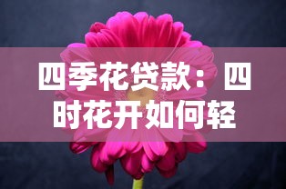 四季花贷款:四时花开如何轻松获得资金支持 四季花贷款:四时花开如何轻松获得资金支持