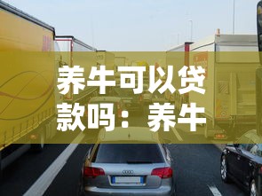 养牛可以贷款吗：养牛场如何申请银行贷款