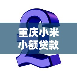 重庆小米小额贷款有限公司：小米金融在重庆的贷款业务如何