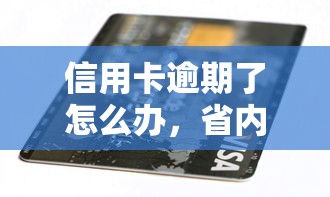 信用卡逾期了怎么办，省内五个2025最新贷款最容易通过的平台