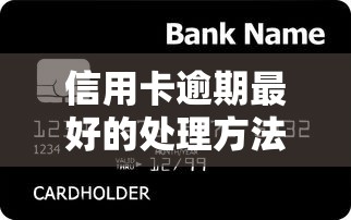信用卡逾期最好的处理方法，盘点五个2025最新黑户必过的贷款平台