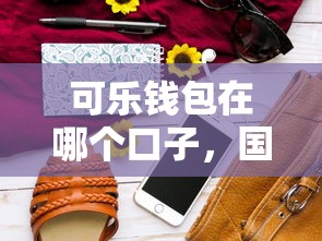 可乐钱包在哪个口子，国内五大2025最新夜间秒下款的14天口子
