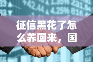 征信黑花了怎么养回来，国内五大2025最新小额贷款平台排名不分先后