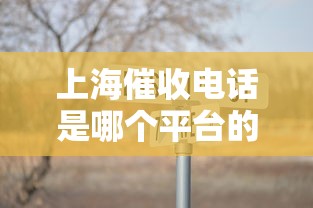 上海催收电话是哪个平台的，分享五个2025最新60岁至65之间正规借款平台