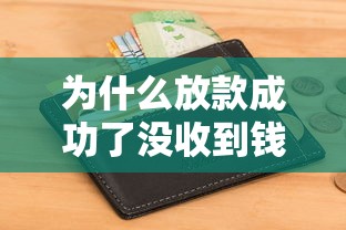 为什么放款成功了没收到钱，阐述5家2025最新黑户逾期借款平台