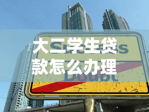 大二学生贷款怎么办理：如何申请大二学生贷款