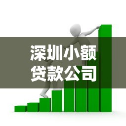 深圳小额贷款公司：深圳哪里能快速申请小额借款