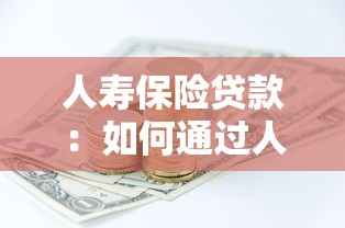 人寿保险贷款：如何通过人寿保单获取资金支持