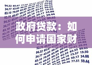 政府贷款：如何申请国家财政资金支持