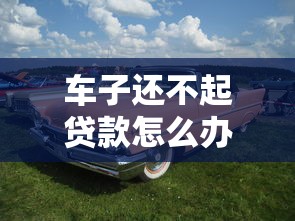 车子还不起贷款怎么办：车贷无力偿还如何解决