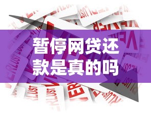 暂停网贷还款是真的吗，总结五个2025最新执行人贷款稳下的口子
