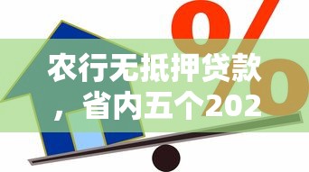 农行无抵押贷款，省内五个2025最新17岁贷款平台